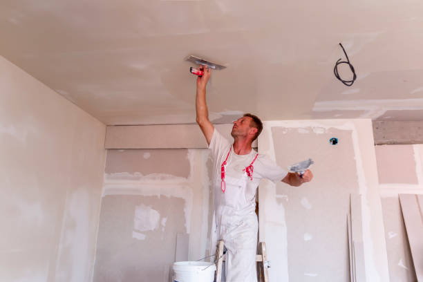 Best Acoustic or Soundproof Drywall Installation  in Lorena, TX